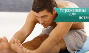Упражнения для потенции