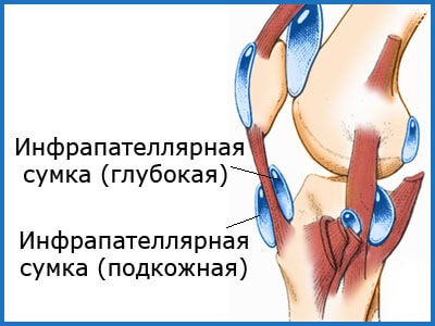 сумки коленного сустава